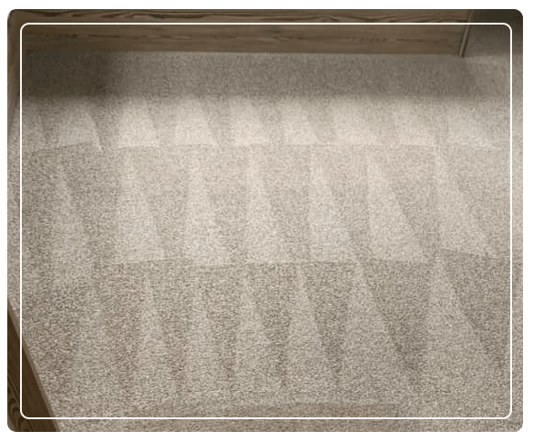 Best Carpet Steam Cleaning Services In Abbotsford